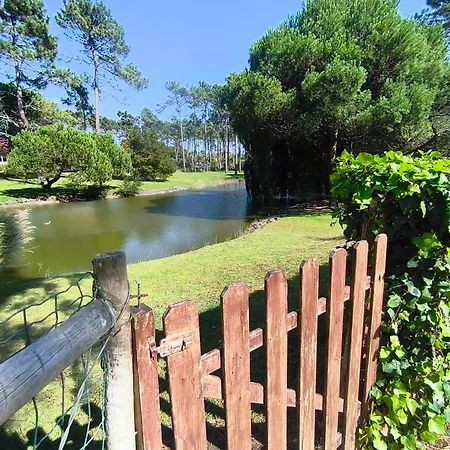 De Mira Casa De Vacaciones, Un Paraiso De Paz Praia de Mira